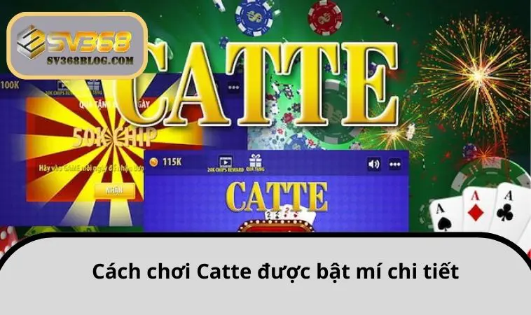 Cách chơi Catte được bật mí chi tiết