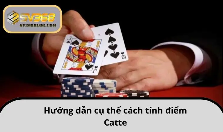 Hướng dẫn cụ thể cách tính điểm Catte