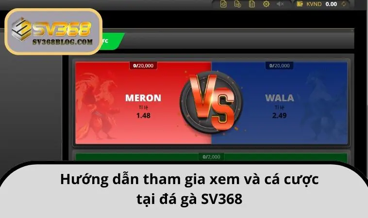 Hướng dẫn tham gia xem và cá cược tại đá gà SV368