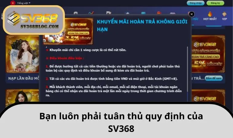 Bạn luôn phải tuân thủ quy định của SV368