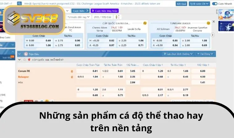 Những sản phẩm cá độ thể thao hay trên nền tảng